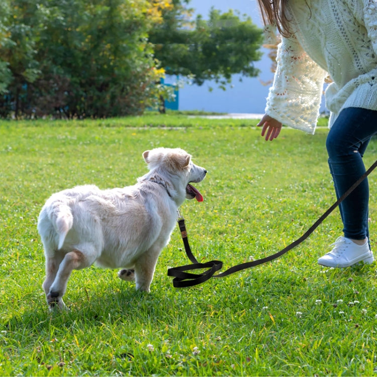 20m Pet Tracking Towing Leash Multifunctional Dog Walking Leashes - Black
