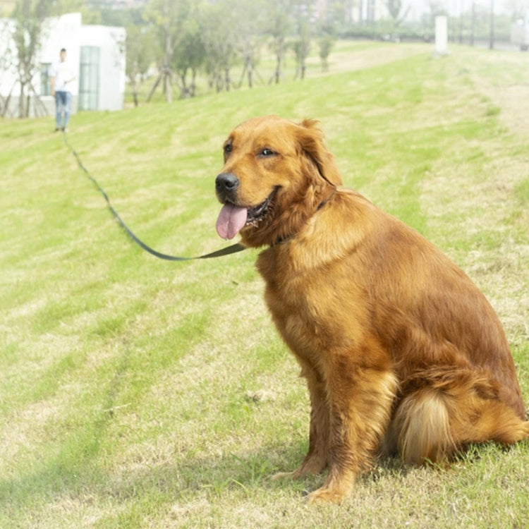 2.5cm x 10m Pet Tracking Dog Collar Leash Dog Training Lengthened Traction Leash - Black