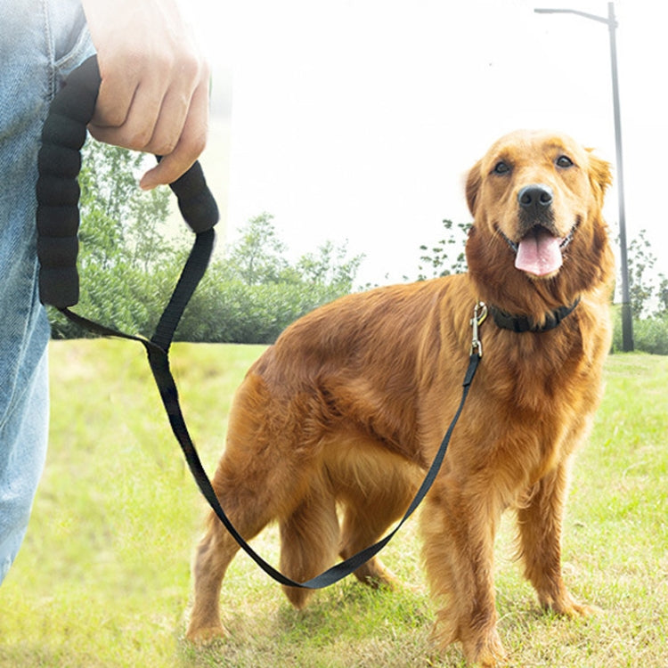 2.5cm x 15m Pet Tracking Dog Collar Leash Dog Training Lengthened Traction Leash - Black