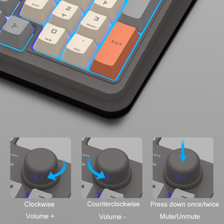 XUNSVFOX K820 Wired Gaming Mechanical Feeling 94 Keys Keyboard And Mouse Set
