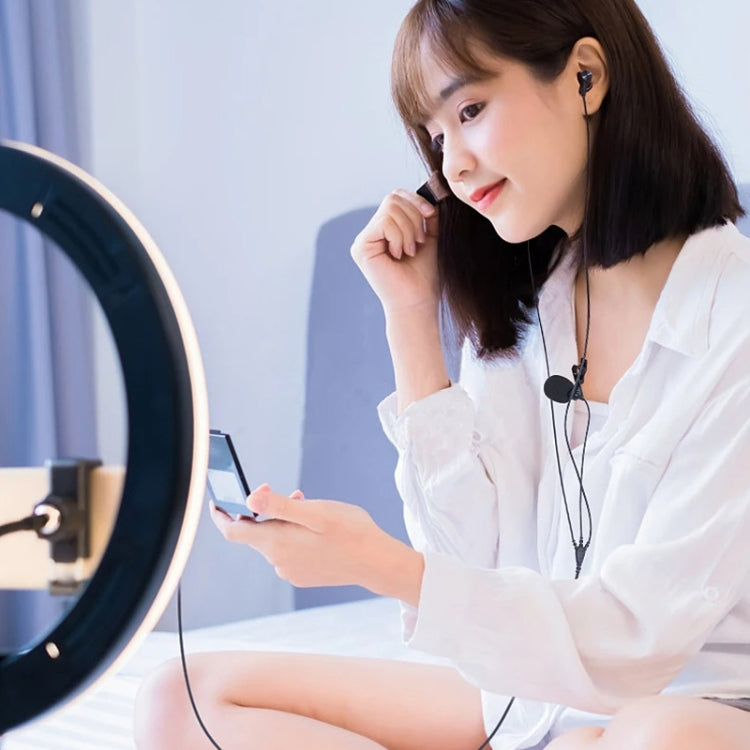In-ear Wired Earphone Computer Subwoofer Singing Game Monitor Earphone, Interface: Type-C Black