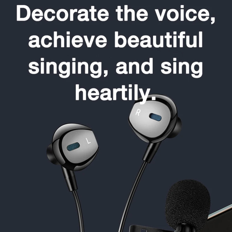 In-ear Wired Earphone Computer Subwoofer Singing Game Monitor Earphone, Interface: Type-C Black