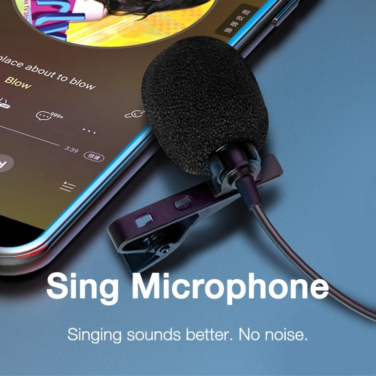 In-ear Wired Earphone Computer Subwoofer Singing Game Monitor Earphone, Interface: Type-C Black