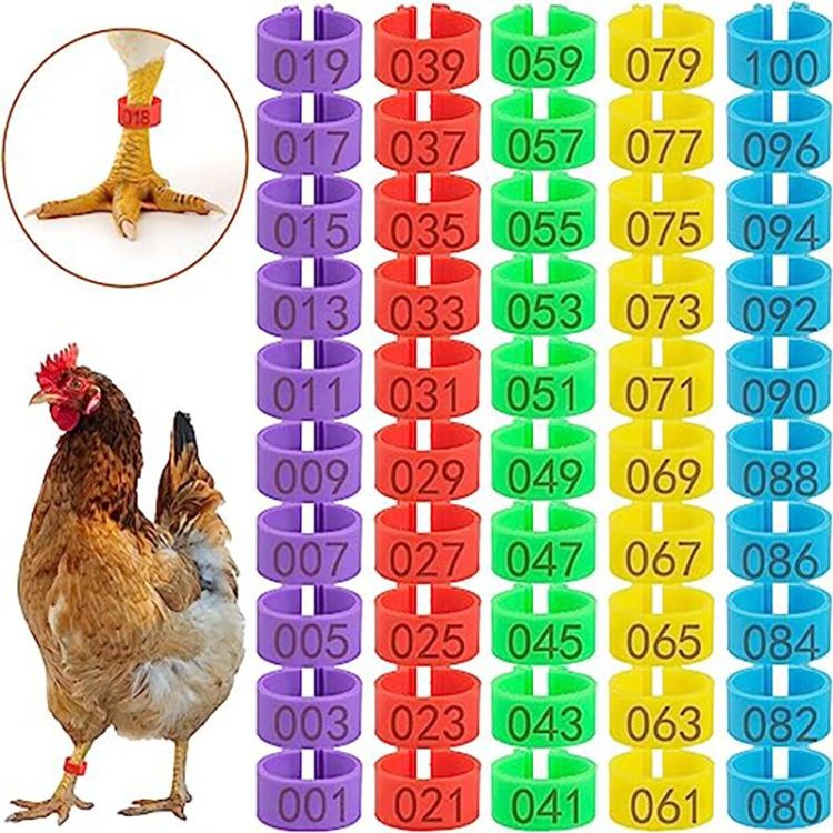 100pcs /Pack 16mm Chicken Leg Rings With Numbered  For Ducks Chicks Guinea Pigeons Goose