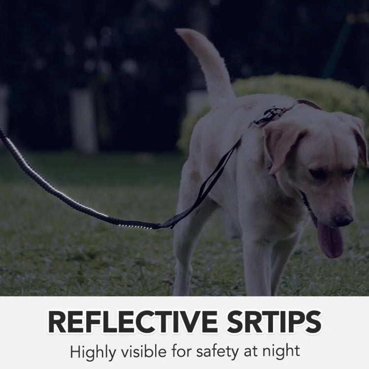 Heavy Duty Bungee Dog Leash Reflective Shock Absorbing Leashes for Medium Large Dogs