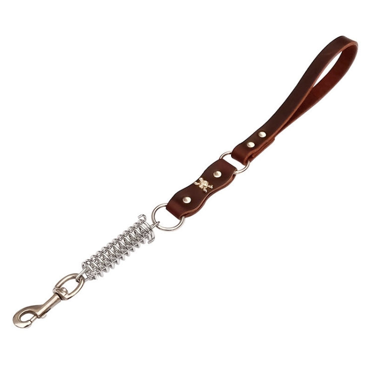 Leather Dog Leash Pet Tow Rope Chain, Style: With Spring - Coffee