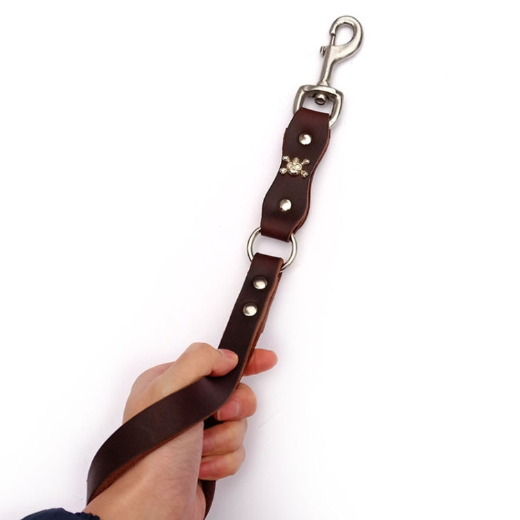 Leather Dog Leash Pet Tow Rope Chain, Style: Without Spring - Coffee