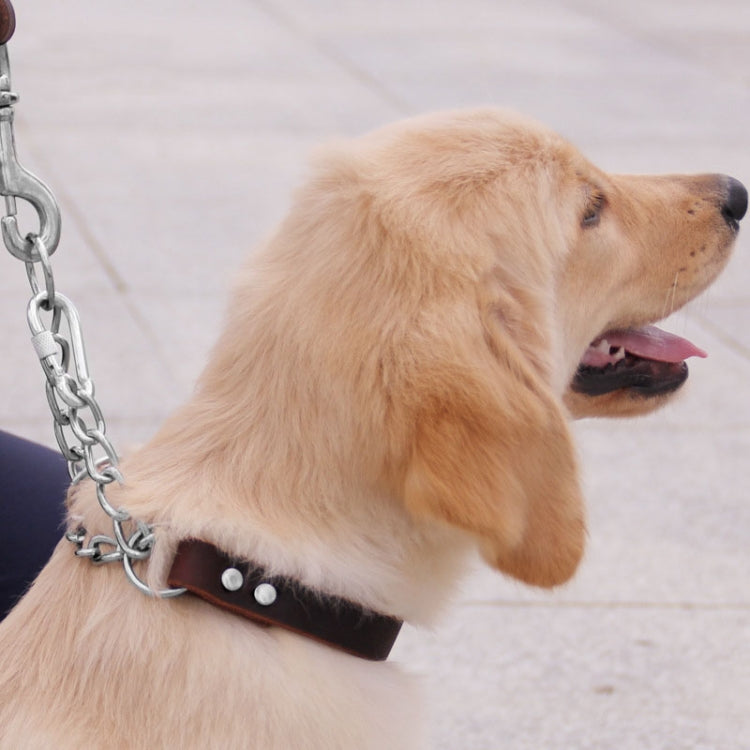 Half P Shape Pet Dog Collar Leather Dog Chain Collar, Size: XL - Coffee