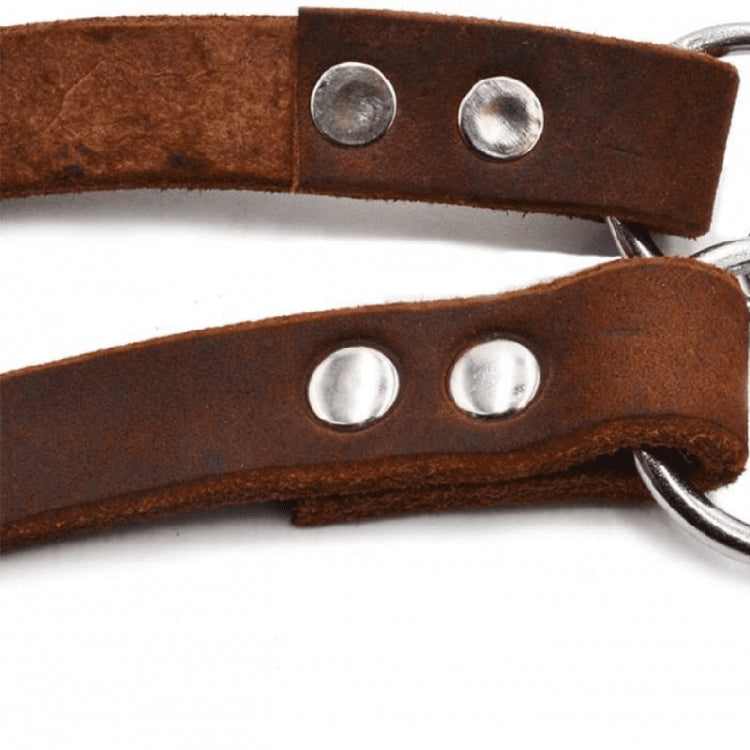 Half P Shape Pet Dog Collar Leather Dog Chain Collar, Size: XL - Coffee