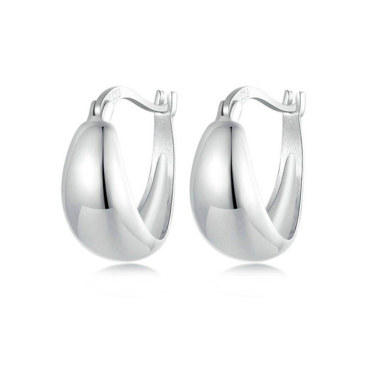 S925 Sterling Silver Metallic Earrings - BSE967