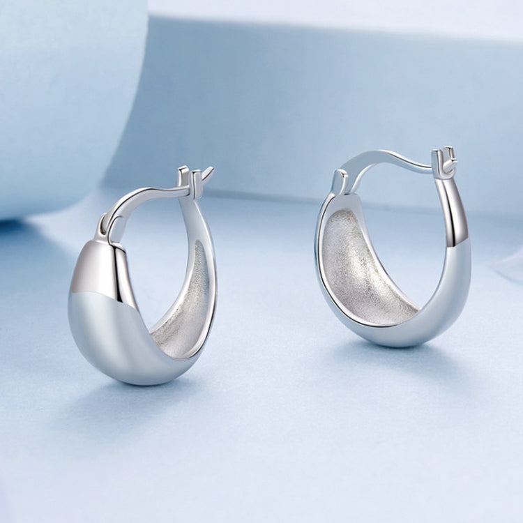 S925 Sterling Silver Metallic Earrings - BSE967