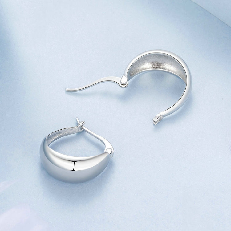 S925 Sterling Silver Metallic Earrings - BSE967