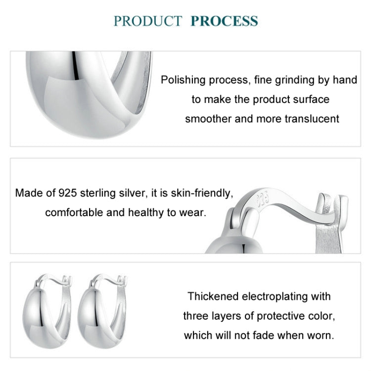 S925 Sterling Silver Metallic Earrings - BSE967