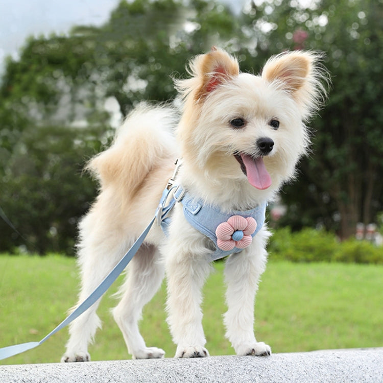 Pet Puppy Dog Leash Vest Teddy Chest Belt Chain Dog Walking Leash, Size: M