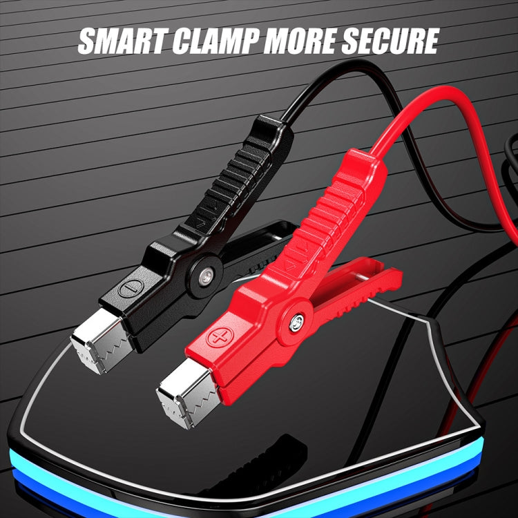 FOXSUR Cars Motorcycles 12V Lithium Cattery Charger With Battery Detection