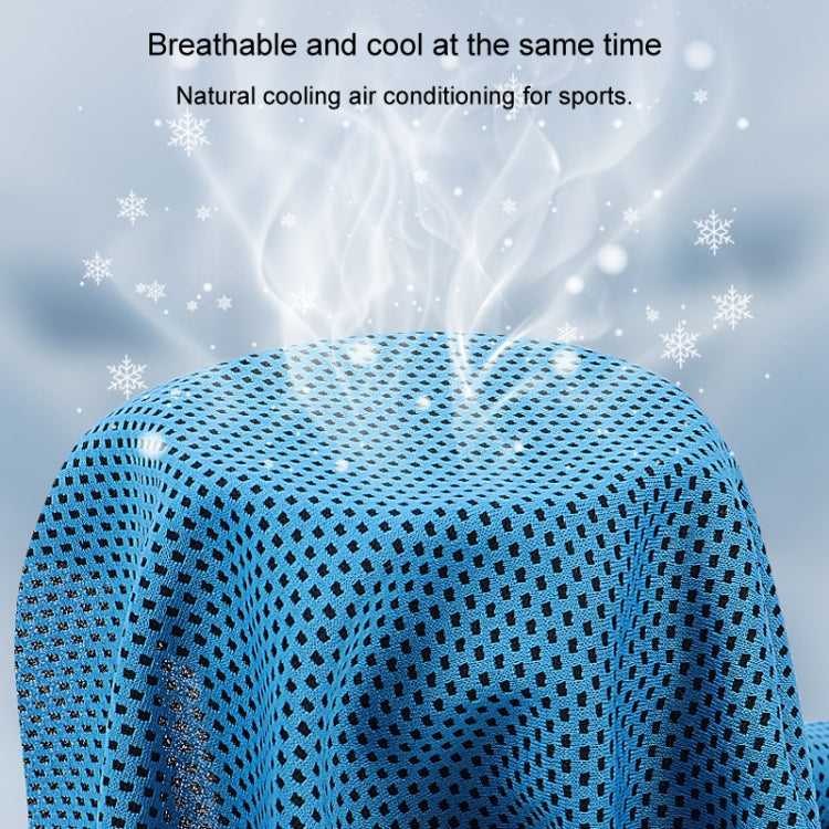 Sports Towel Set Travel Portable Quick Dry Cold Feeling Towel With Silicone Sleeve Storage Bag, Size: 30x80cm