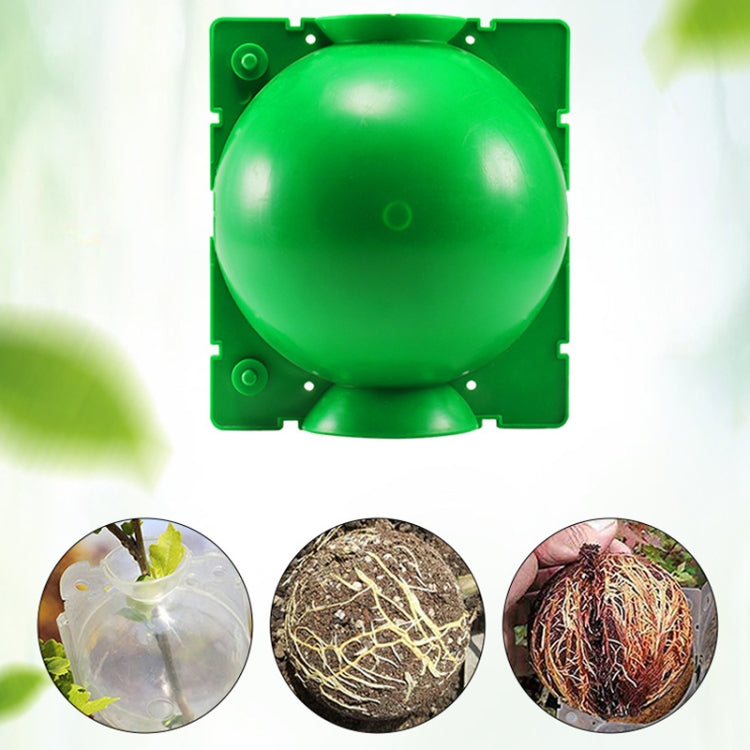 2pcs Plants Growth High Pressure Box Spherical Root Controller Grafting Root Cases, Model: M Black 80mm
