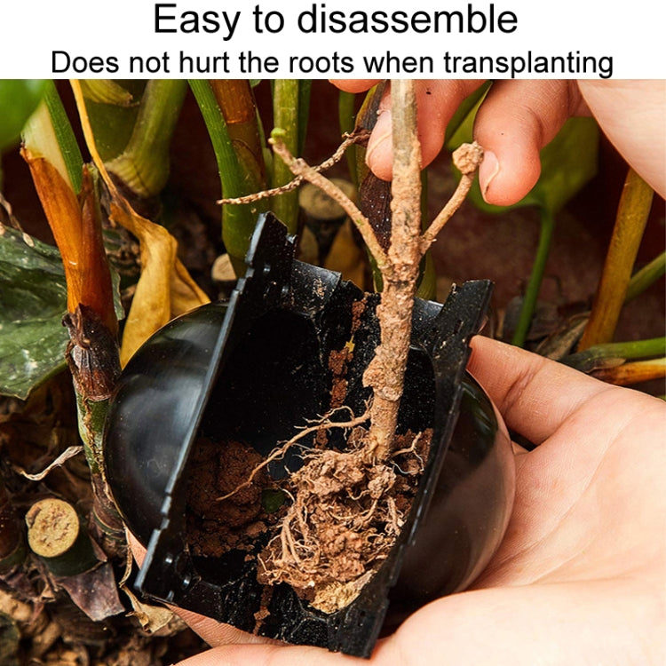 2pcs Plants Growth High Pressure Box Spherical Root Controller Grafting Root Cases, Model: M Transparent 80mm