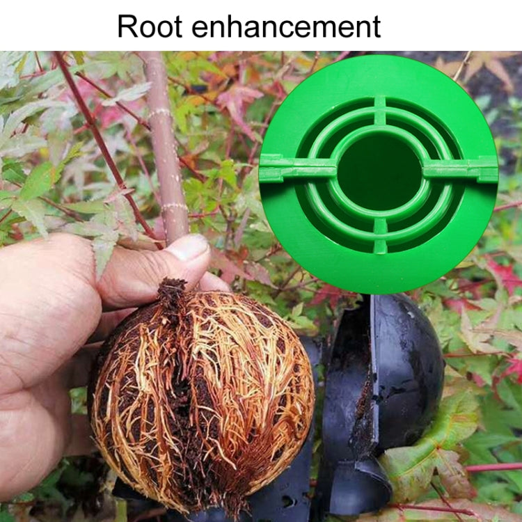 2pcs Plants Growth High Pressure Box Spherical Root Controller Grafting Root Cases, Model: M Black 80mm