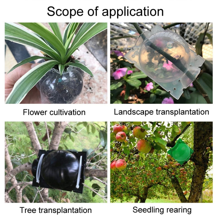 2pcs Plants Growth High Pressure Box Spherical Root Controller Grafting Root Cases, Model: M Black 80mm