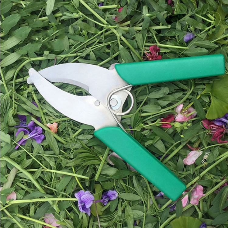 Fruit Tree Cutting Shears Seedling Stripping Scissors Garden Planting Branch Bark Cutter - Green
