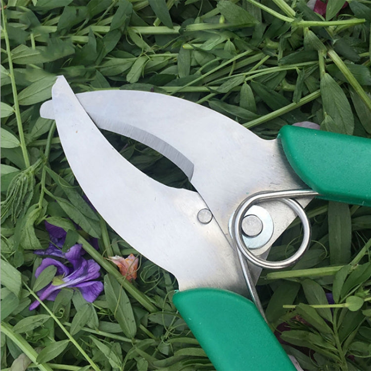 Fruit Tree Cutting Shears Seedling Stripping Scissors Garden Planting Branch Bark Cutter - Green