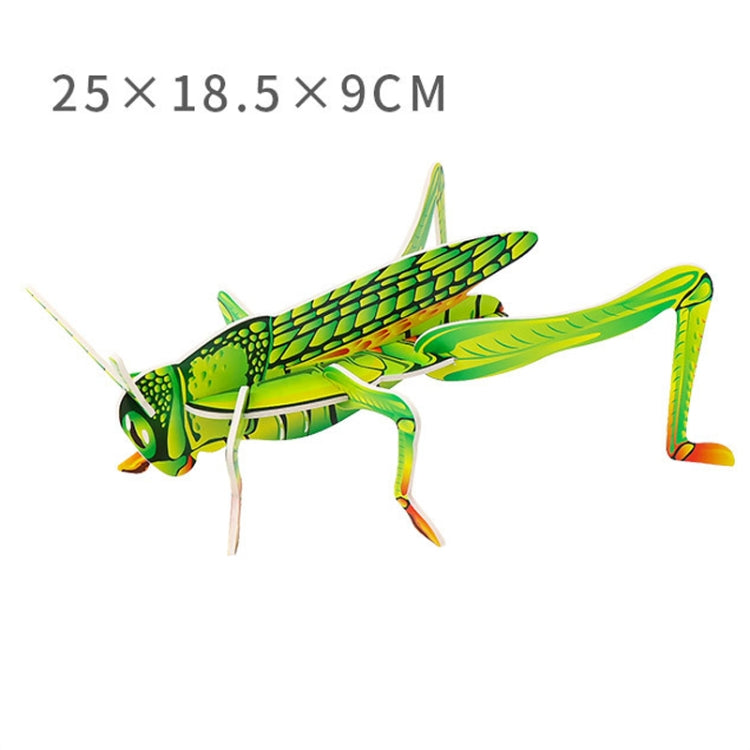 Children Insects Cognition DIY 3D Puzzle KT Board Handmade Simulation Animal Model Toys, Model: Locust