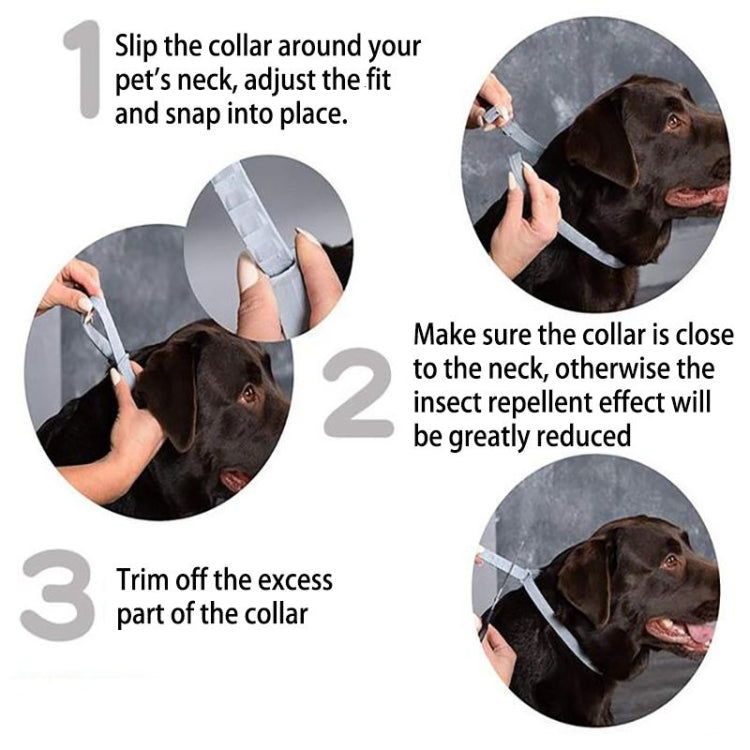 Flea and Tick Collar for Dogs Cats With Aluminum Case, Size: 72cm Blue