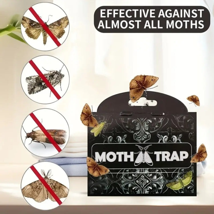 Moth Catcher Insect Trap Sticker