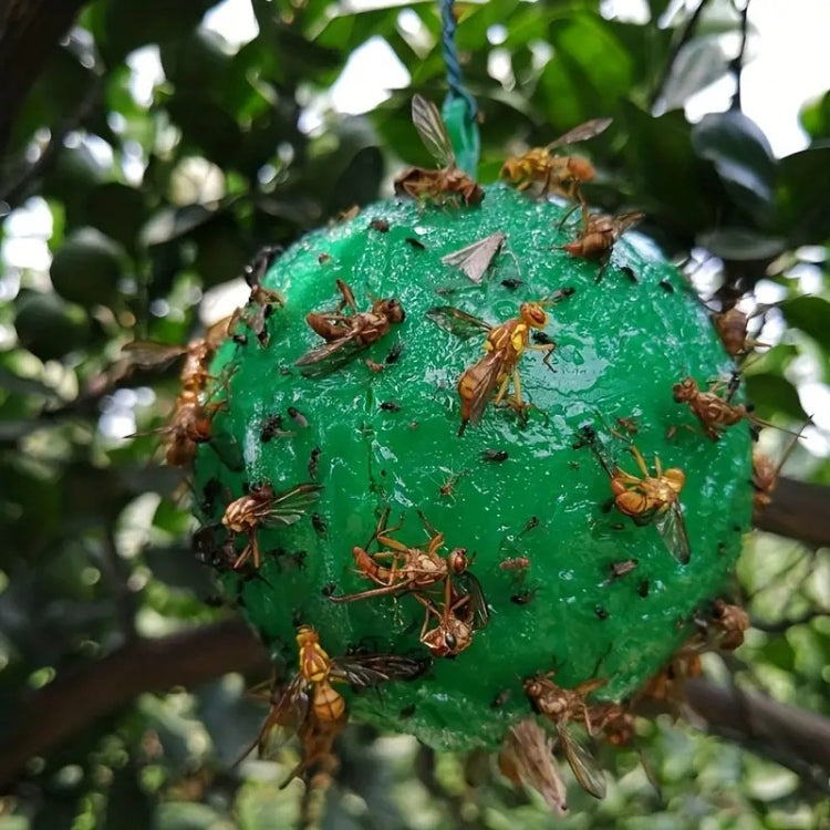 Outdoor Fruit Fly Mosquito Citrus Trap Sticky Ball - Green