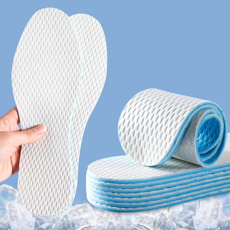 1pair Summer Thin Anti-Odor Sweat Insole Unisex Breathable Soft Shoes Insoles, Size: 43-44