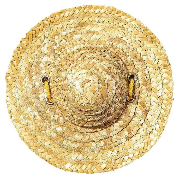 Mini Pet Straw Hat Cat Dog Birthday Party Sun Visor Hat, Size: XL 20cm