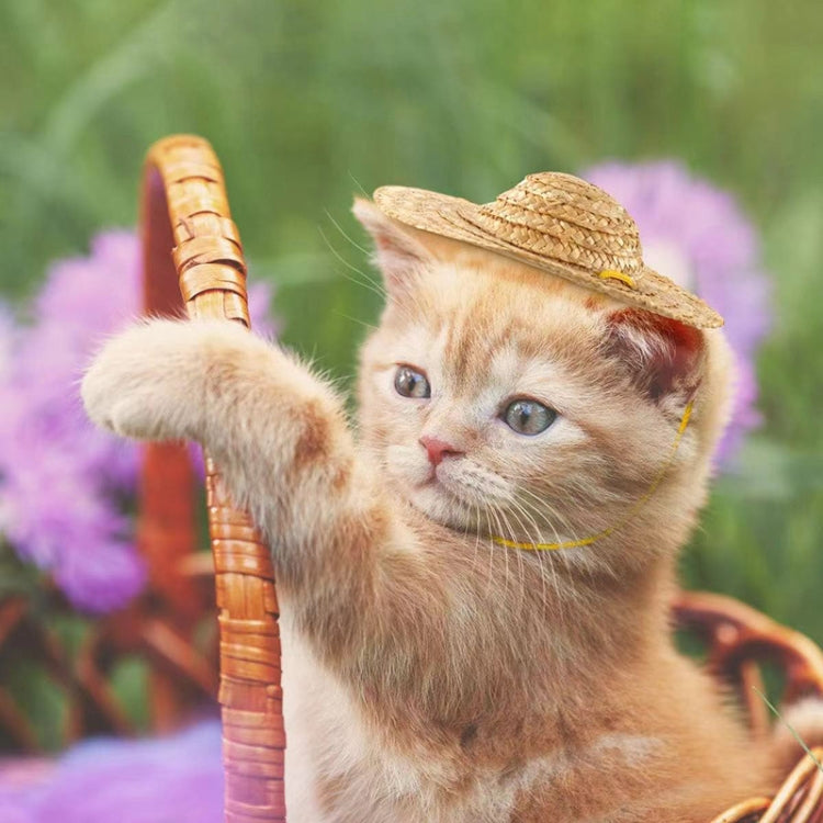 Mini Pet Straw Hat Cat Dog Birthday Party Sun Visor Hat, Size: L 16cm