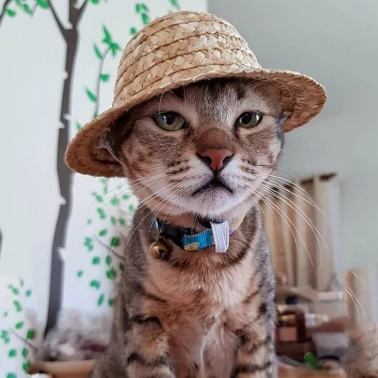 Mini Pet Straw Hat Cat Dog Birthday Party Sun Visor Hat, Size: M 13cm