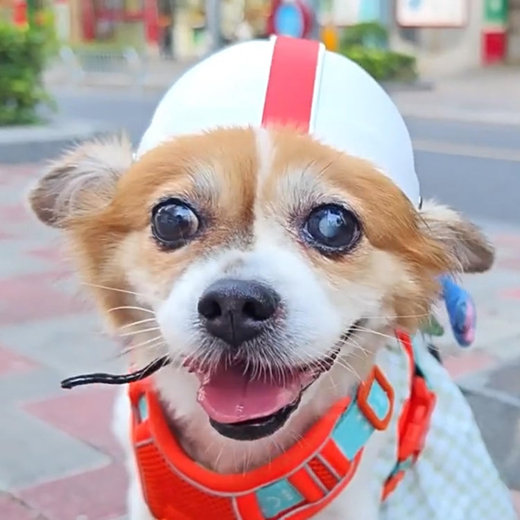 Pet Helmet Dogs And Cats Rugby Hat Accessories, Size: M
