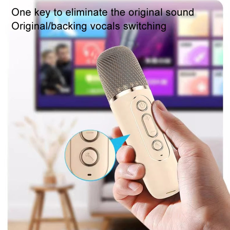 Outdoor Home Portable Wireless Karaoke Sound Cell Phone Integrated Microphone Smart Speaker, Style: With Dual Mic Blue