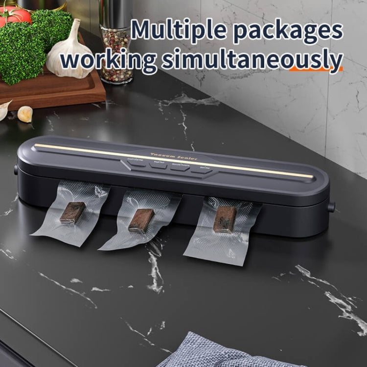 Food Vacuum Sealer Machine 60KPA Strong Suction, Small / Large Bag Modes With 10 Vacuum Bags US Plug