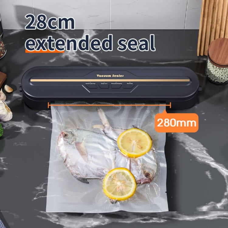 Food Vacuum Sealer Machine 60KPA Strong Suction, Small / Large Bag Modes With 10 Vacuum Bags US Plug