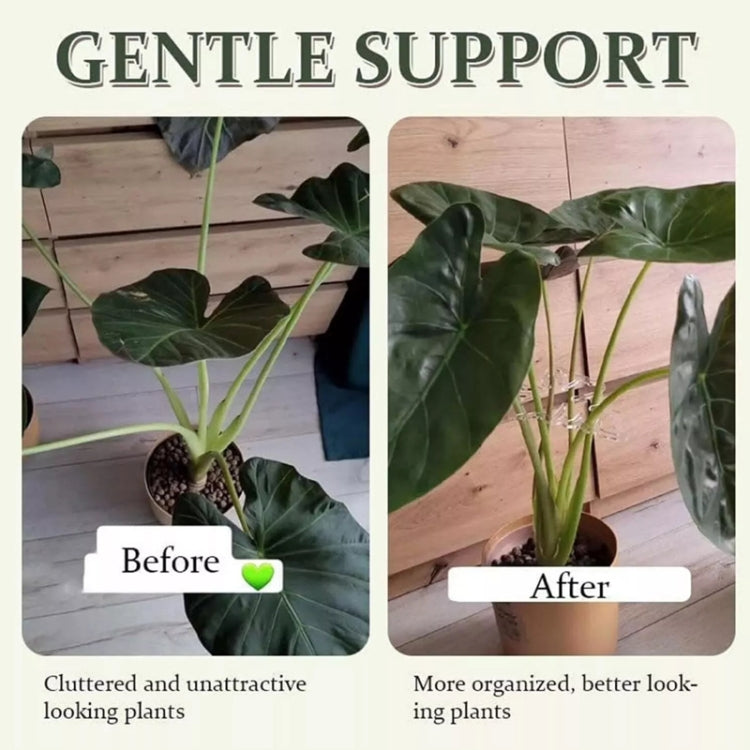 BJ138-001 Plant Roots Fixing Bracket Gardening Care Tools