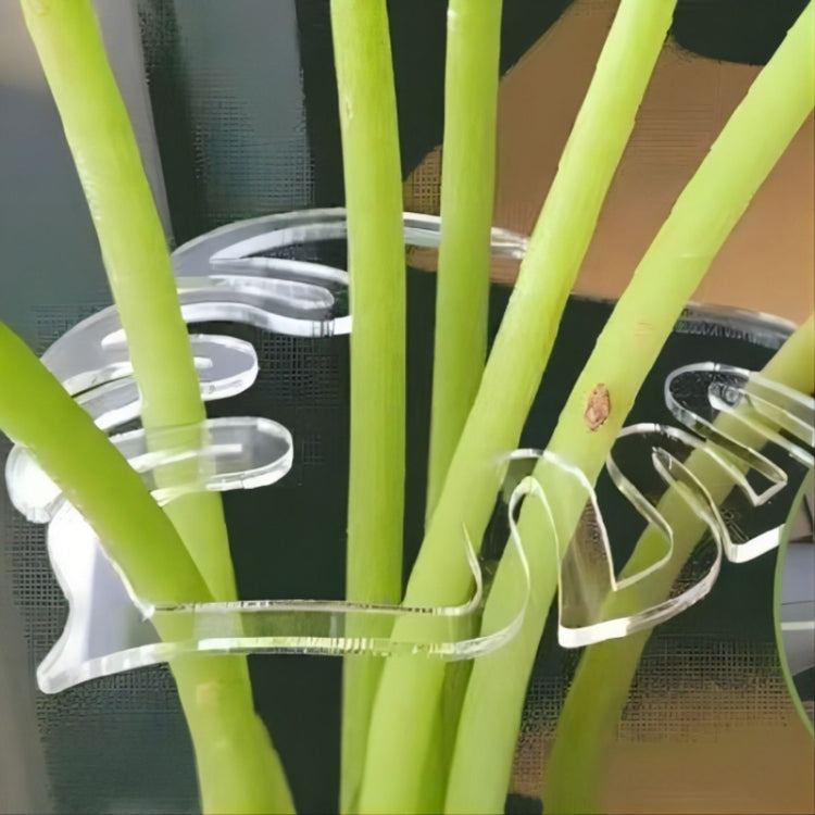 BJ138-001 Plant Roots Fixing Bracket Gardening Care Tools