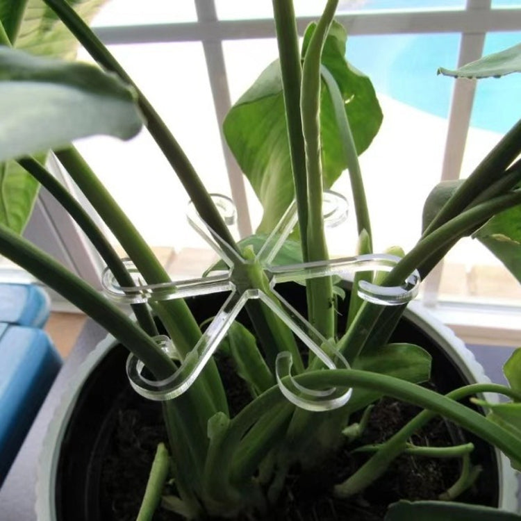 Large Plant Stem Support Bracket Garden Vegetable Plant Root Stem Holder