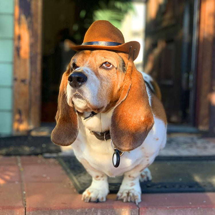 Adjustable Pet Cowboy Hat Dog Cosplay Cap Holiday Costume Party Decoration, Size: M