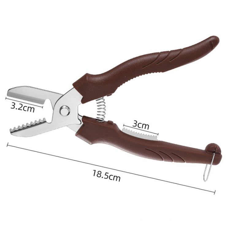 Multifunctional Chestnut Shelling Tool Quick Peeling Chestnut Knife