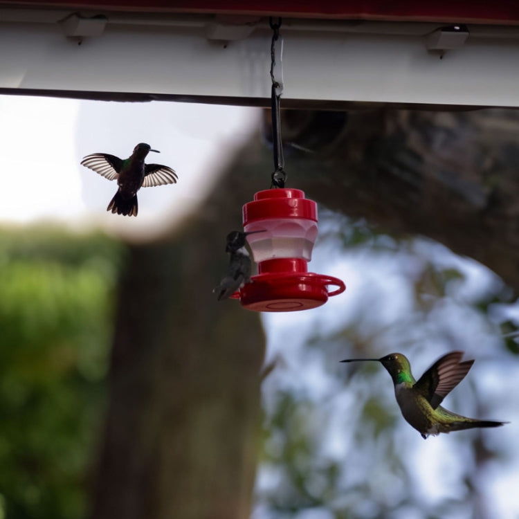 Outdoor Detachable Hanging Bird Feeder - Red