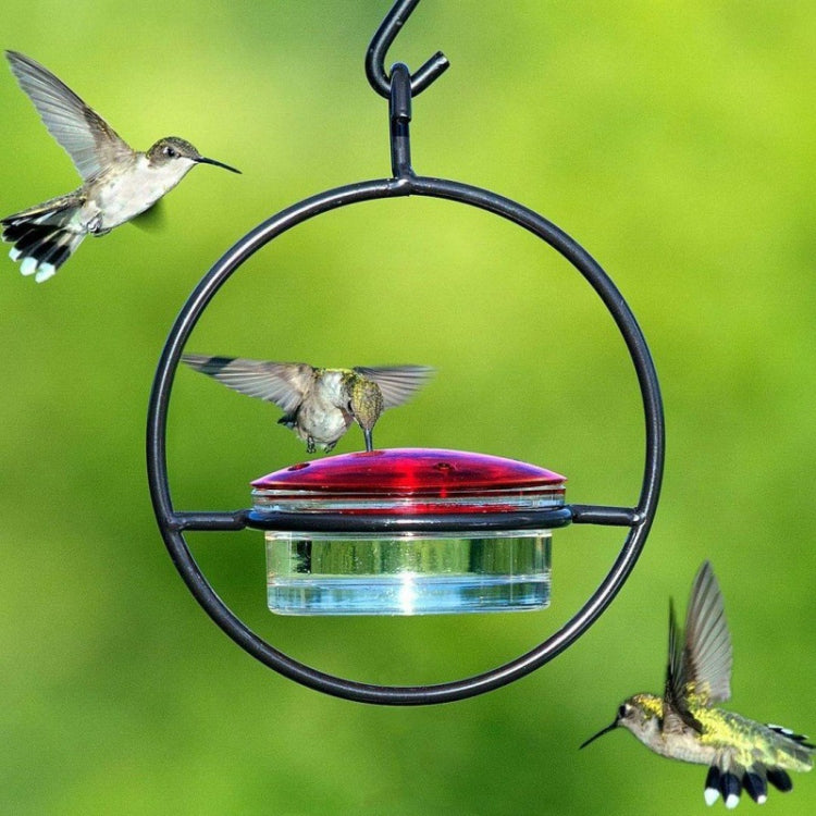 Outdoor Courtyard Garden Hanging Metal Bird Feeder, Color: Black