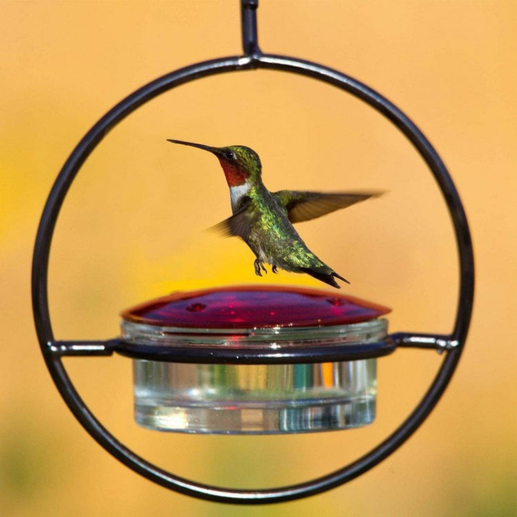 Outdoor Courtyard Garden Hanging Metal Bird Feeder, Color: Red