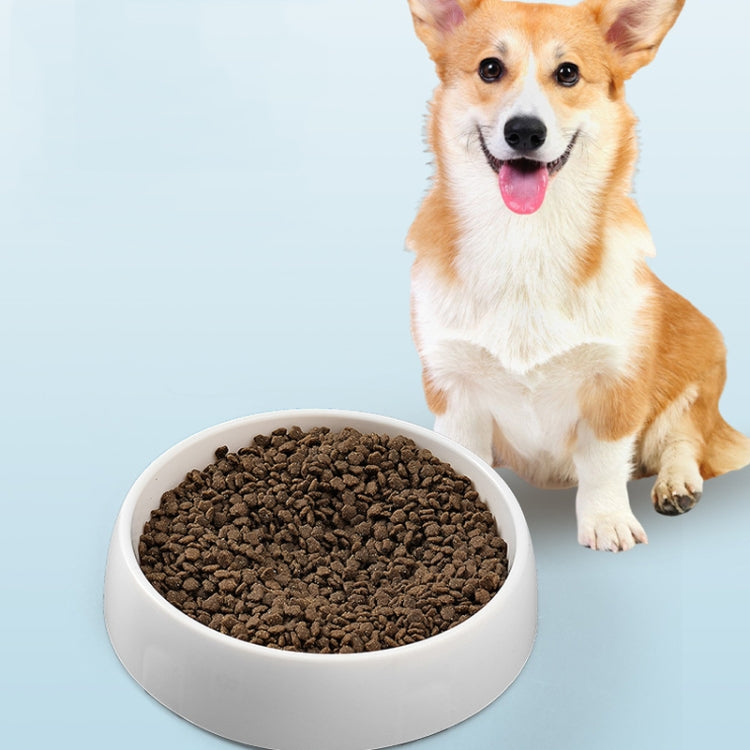 Planet Shape Pets Anti-Choking Slow Eating Bowl Cats And Dogs Spill Resistant Food Holder - White