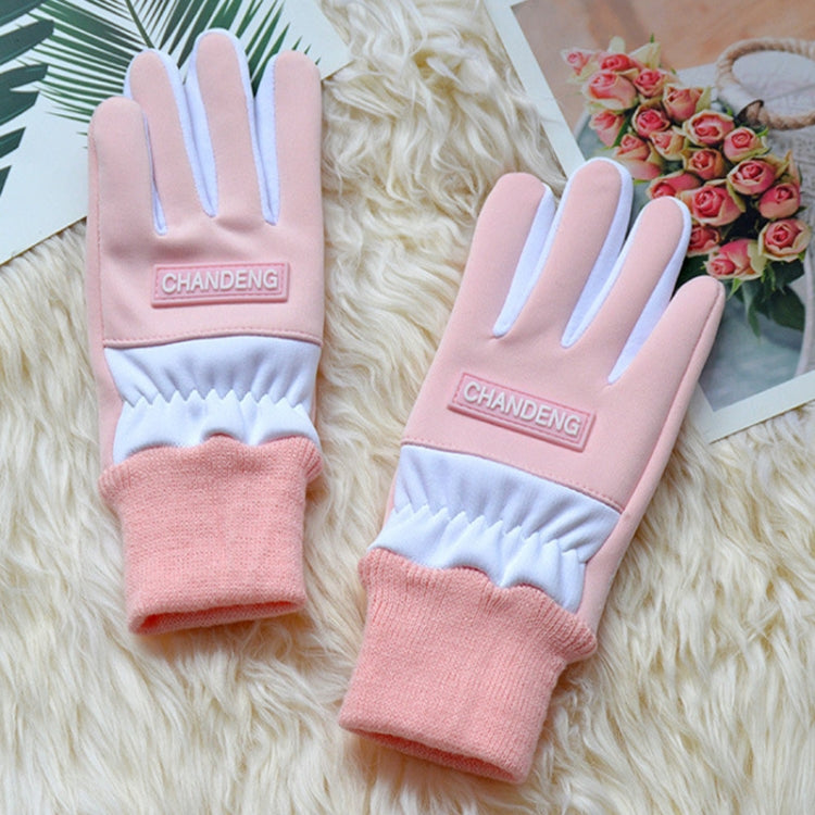 Winter Ski Velvet Warm Gloves Touch Screen Outdoor Riding Waterproof Windproof Gloves, Size: Average