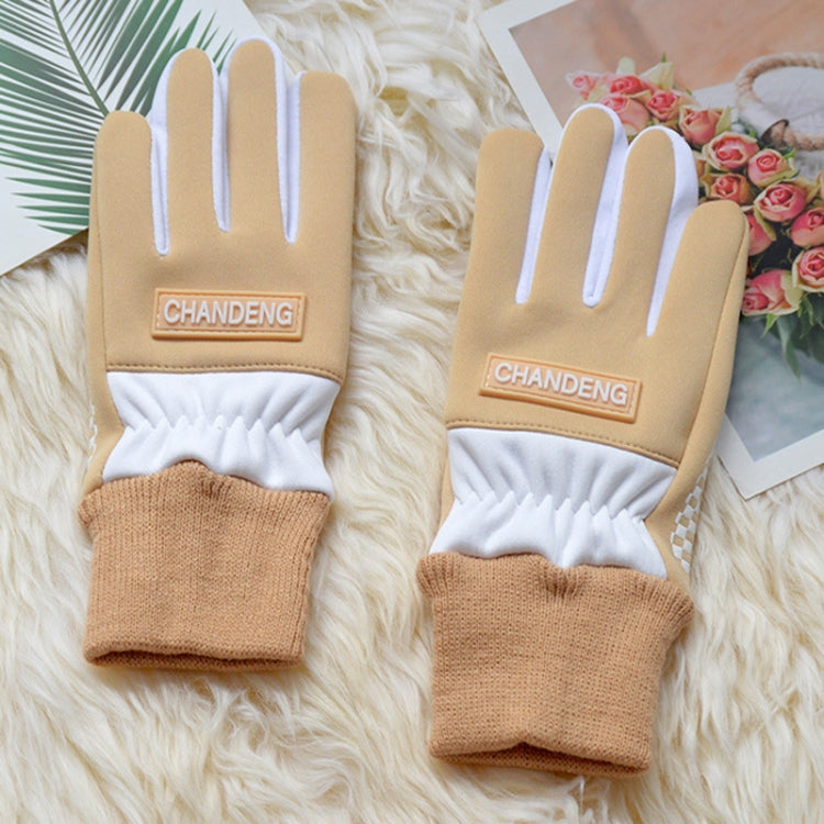 Winter Ski Velvet Warm Gloves Touch Screen Outdoor Riding Waterproof Windproof Gloves, Size: Average