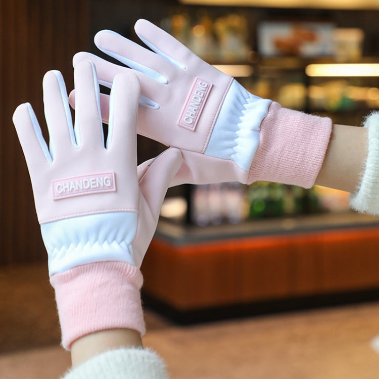 Winter Ski Velvet Warm Gloves Touch Screen Outdoor Riding Waterproof Windproof Gloves, Size: Average